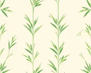 backgrounds