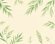 backgrounds