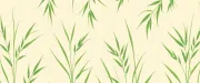 backgrounds