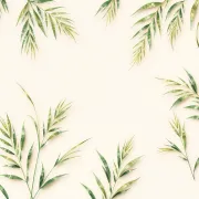 backgrounds