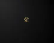 backgrounds