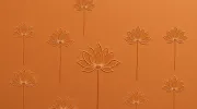 backgrounds