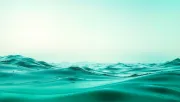 backgrounds