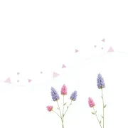 backgrounds