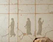 backgrounds