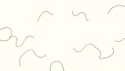backgrounds