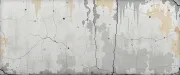 backgrounds