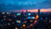 backgrounds