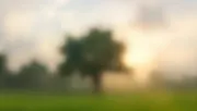 backgrounds