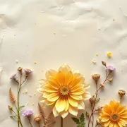 backgrounds