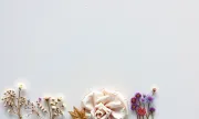 backgrounds