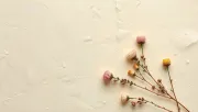 backgrounds