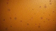 backgrounds