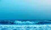 backgrounds