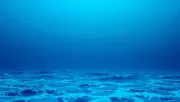 backgrounds