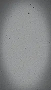 backgrounds