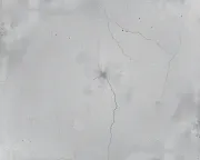 backgrounds