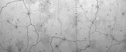 backgrounds