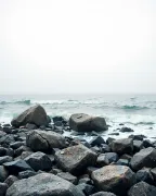 backgrounds