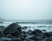 backgrounds