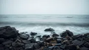 backgrounds