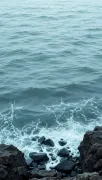 backgrounds