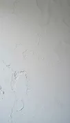 backgrounds