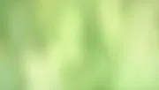 backgrounds