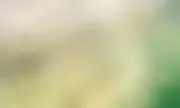 backgrounds