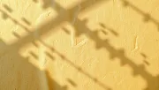 backgrounds