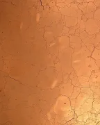 backgrounds