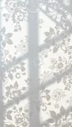 backgrounds