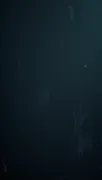 backgrounds
