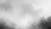 backgrounds
