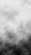 backgrounds
