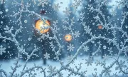 backgrounds