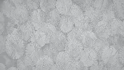 backgrounds