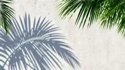 backgrounds
