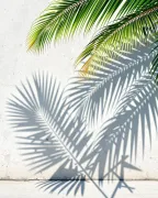 backgrounds