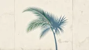 backgrounds
