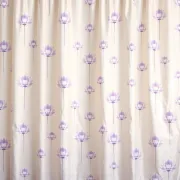 backgrounds