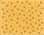 backgrounds