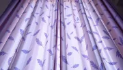 backgrounds