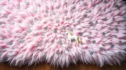 backgrounds