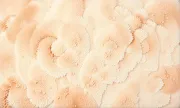 backgrounds