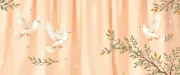 backgrounds