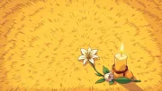 backgrounds