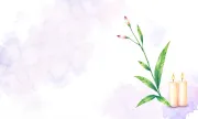 backgrounds