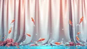 backgrounds