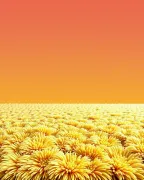 backgrounds